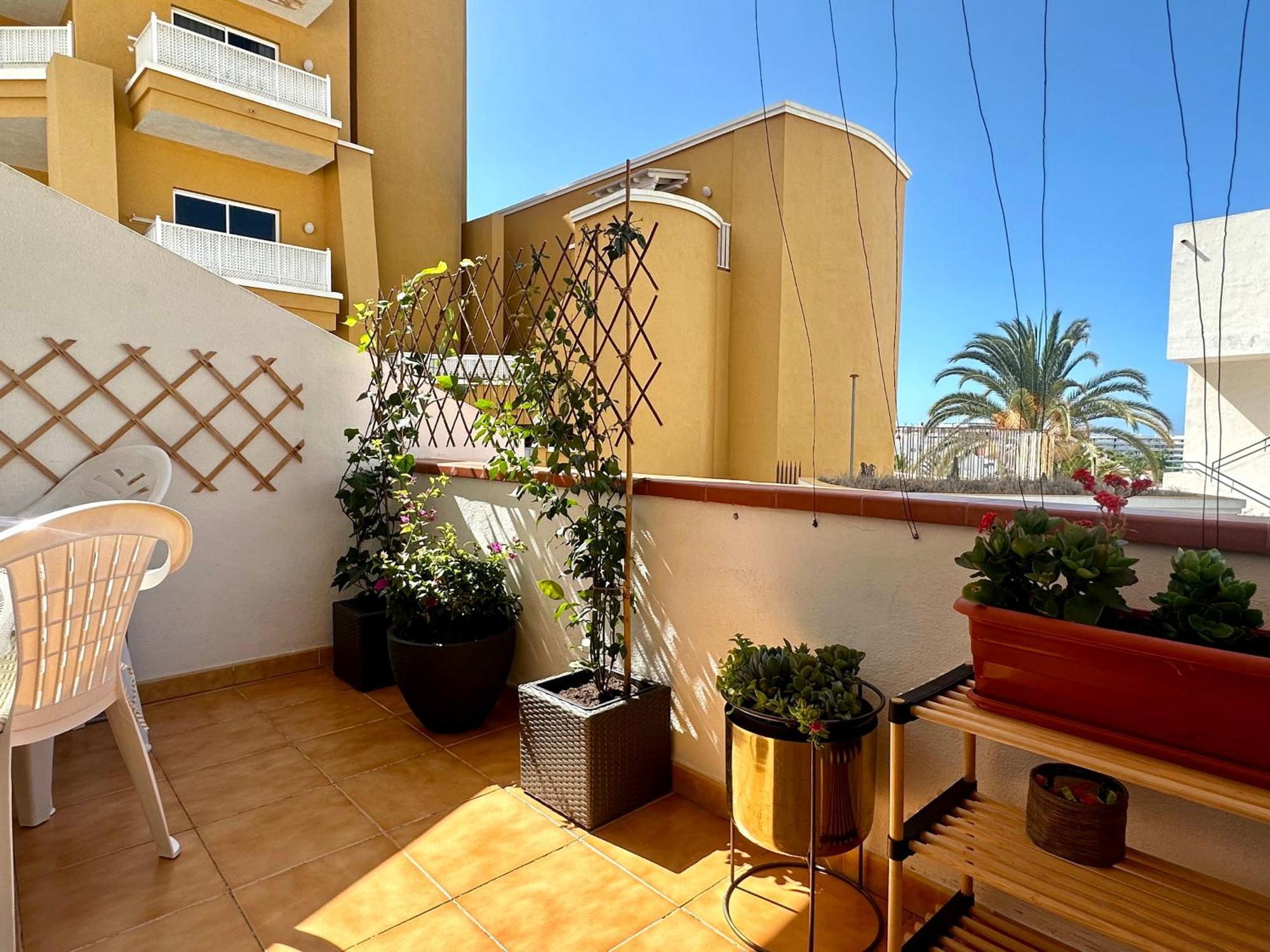 Apartment In Ocean Park Ii, Costa Adeje, Tenerife Eksteriør billede
