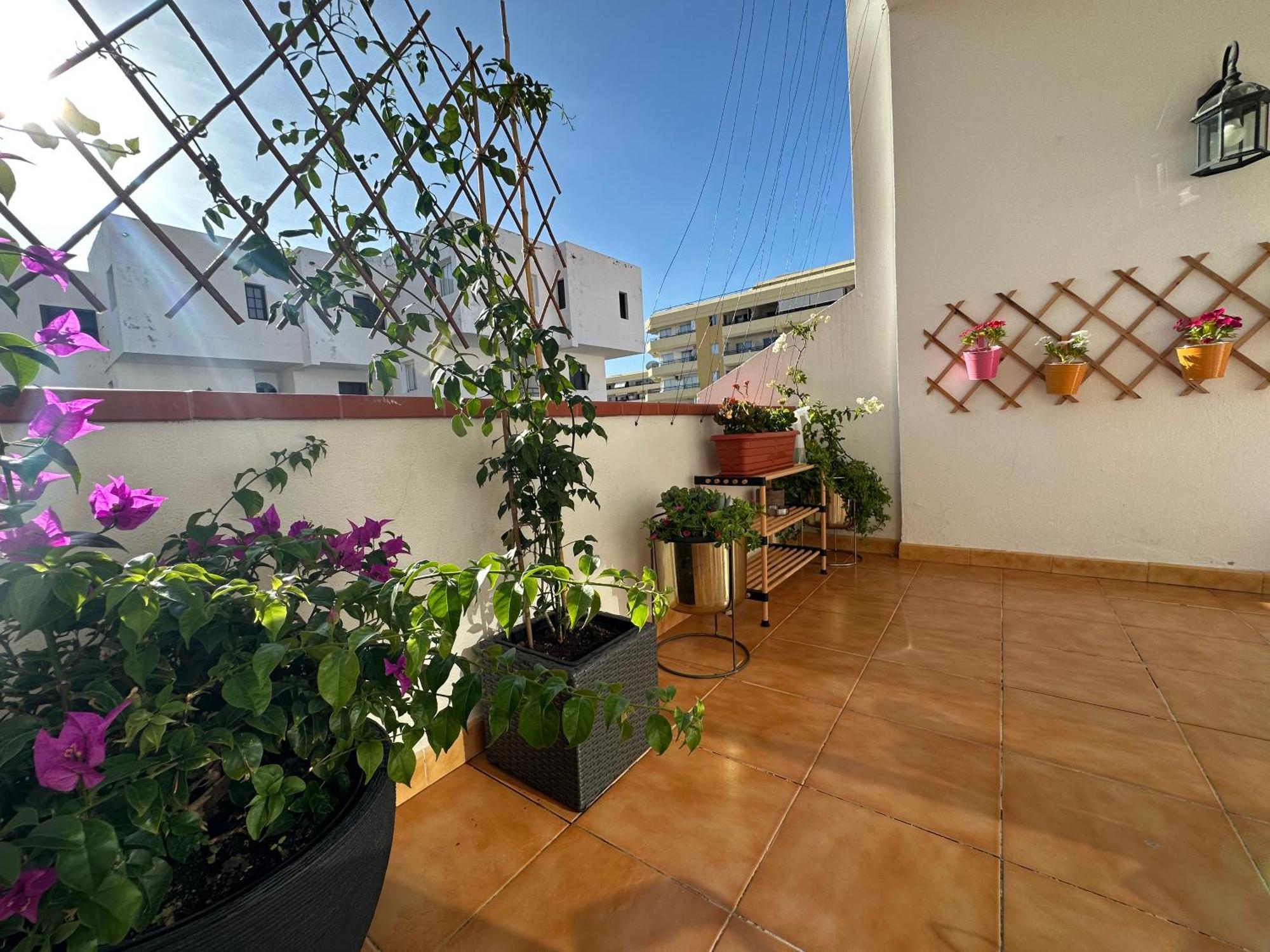 Apartment In Ocean Park Ii, Costa Adeje, Tenerife Eksteriør billede